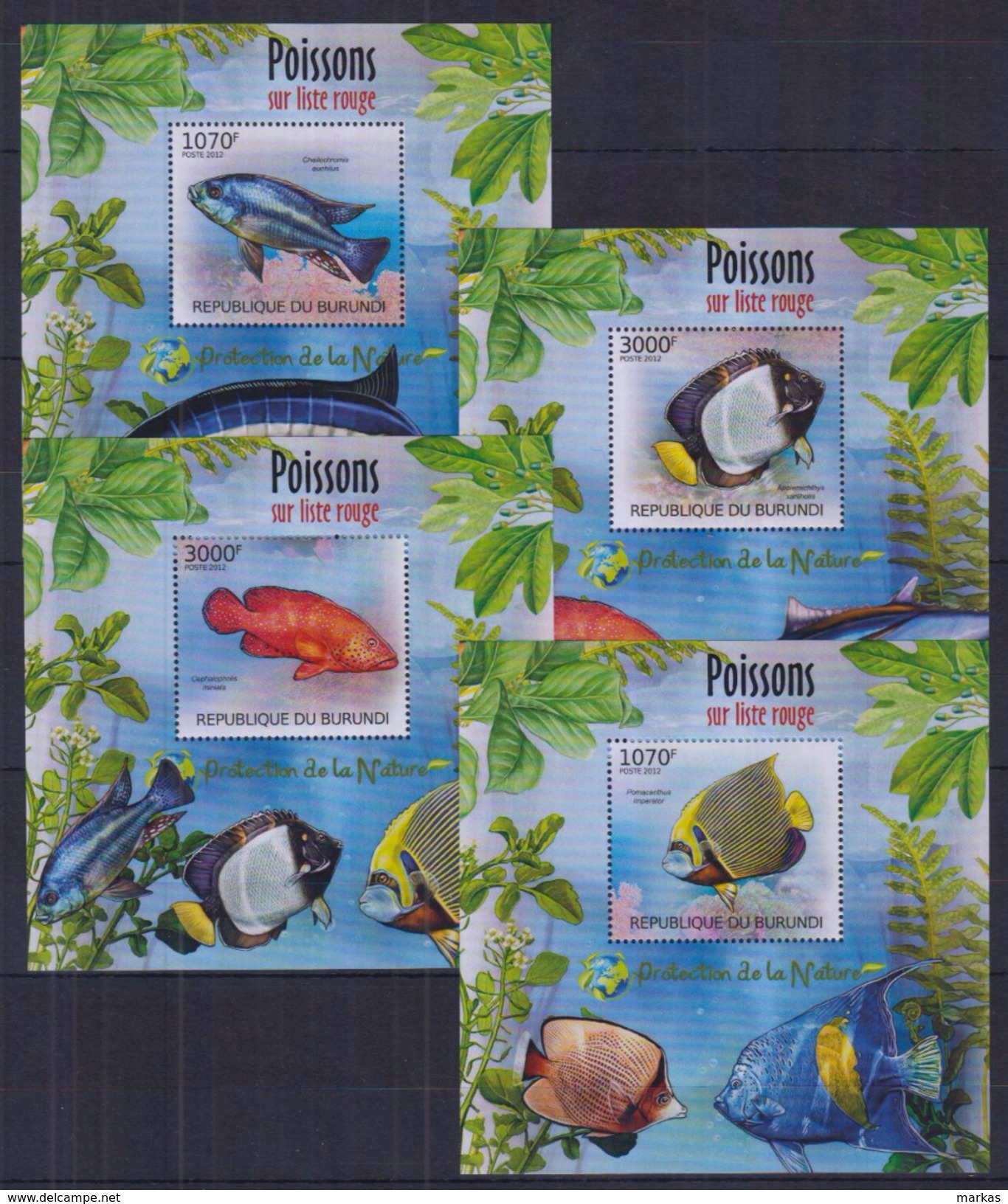 V31 Burundi - MNH - Marine Life - Deluxe - 2012 - Meereswelt