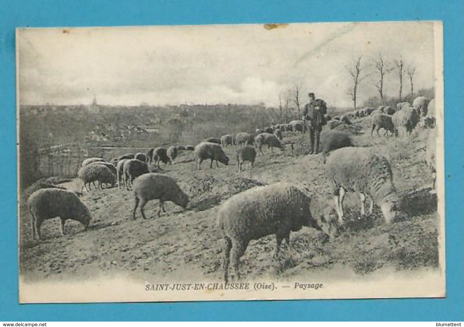 CPA Berger Et Ses Moutons SAINT-JUST-EN-CHAUSSEE 60 - Saint Just En Chaussee