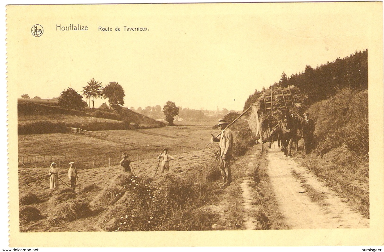 HOUFFALIZE   --  Route De Taverneux - Houffalize