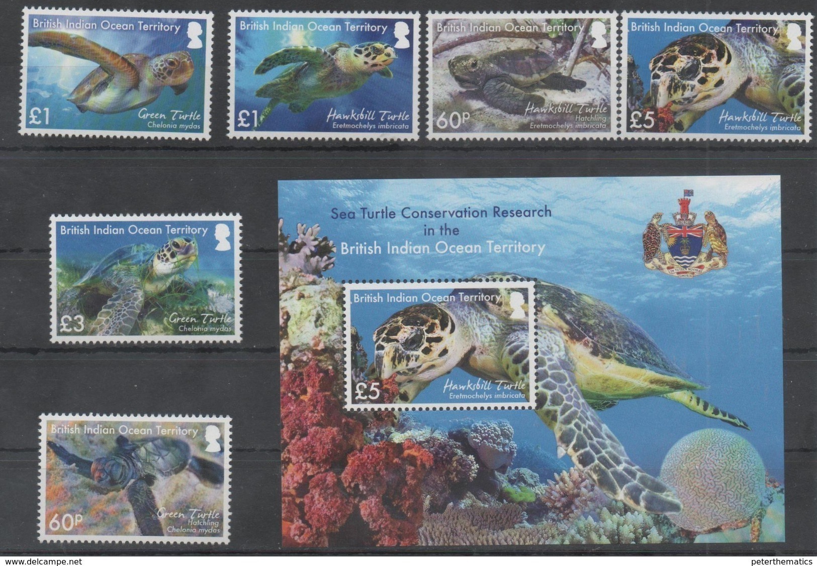 BIOT, 2016, MNH, TURTLES, 6+ S/SHEET, HIGH FV - Schildkröten