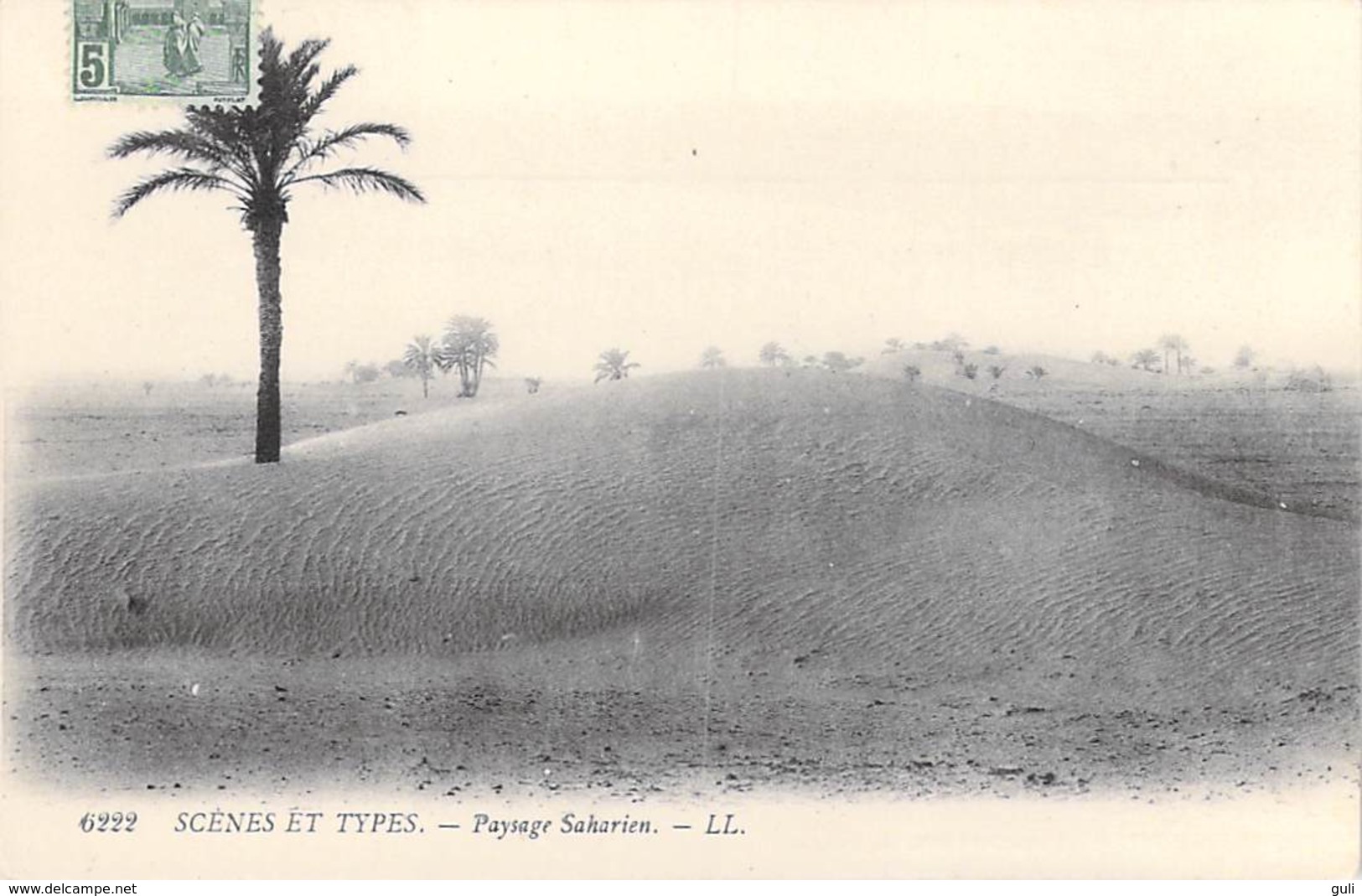 Tunisie-  Scènes Et Types Paysage Saharien -Carte Postée à Carthage En 1909  (- Editions : LL 6222- ) *PRIX FIXE - Tunisia