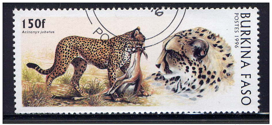 BURKINA-FASO - 1000° - ACINONYX JUBATUS - Burkina Faso (1984-...)