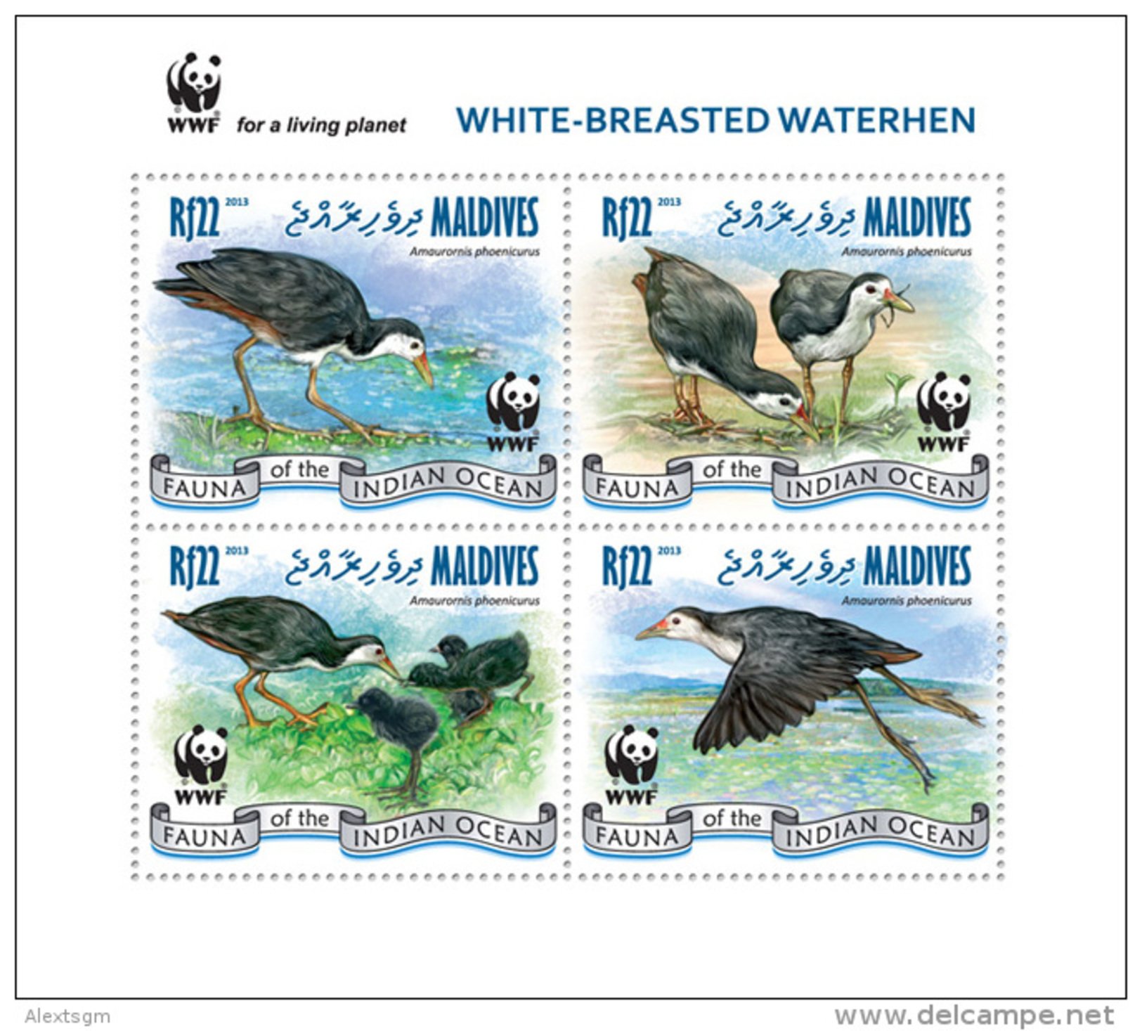 MALDIVES 2013 - WWF. Waterhen - YT 4075-8, Mi 4872-5, Sc 3022 - Storchenvögel