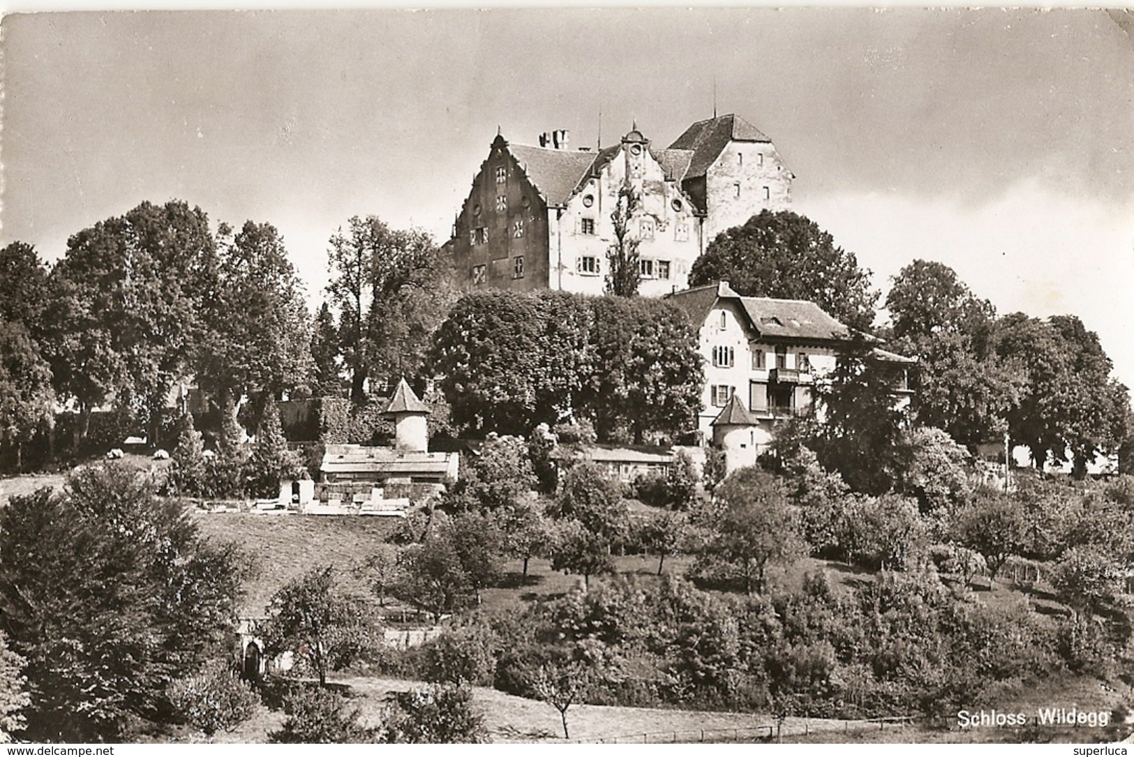 1-SCHLOSS WILDEGG - Wildegg