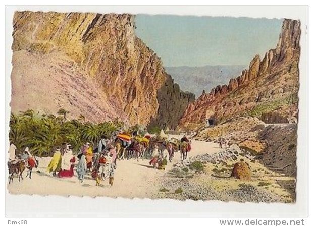 AFRICA - ALGERIA -  LES GORGES D'EL KANTARA - 1950s/60s ( 893 ) - Non Classés