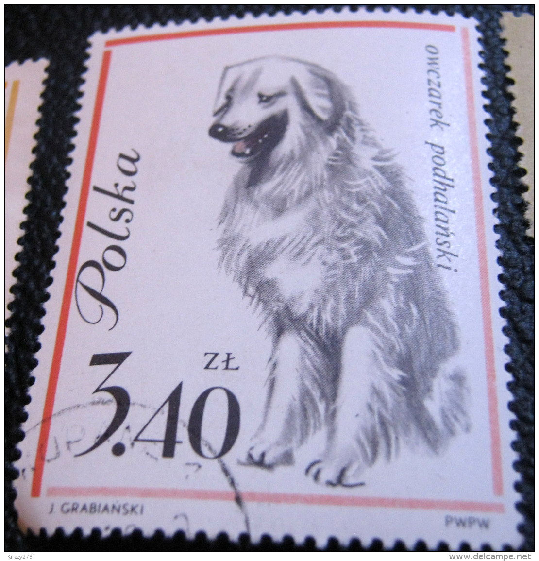 Poland 1963 Dog Owczarek Podhalanski 3.40zl - Used - Used Stamps