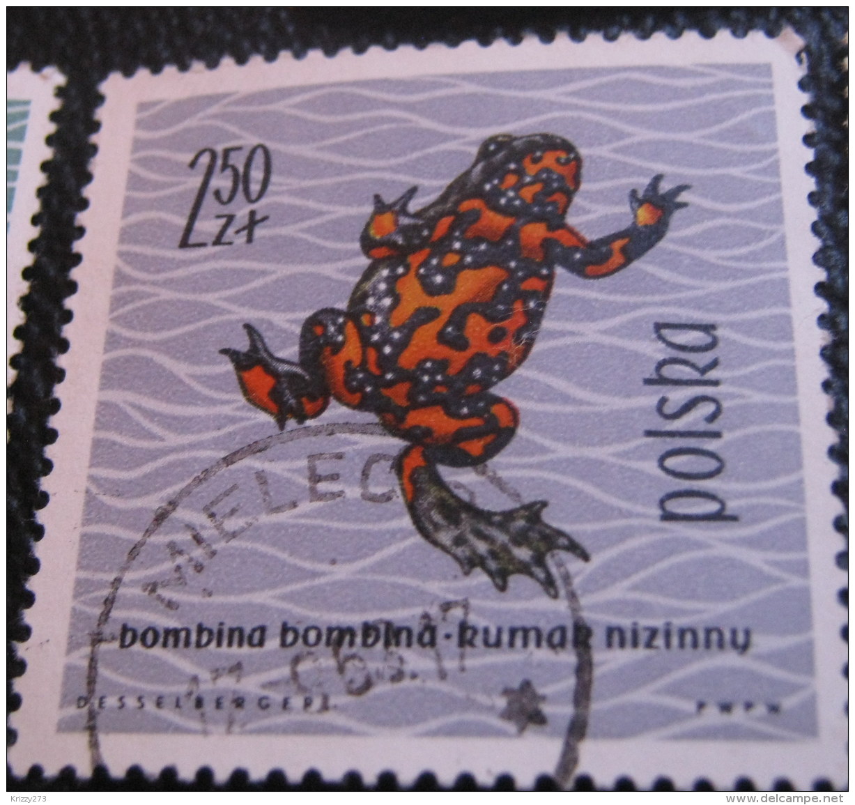 Poland 1963 Amphibians &amp; Reptiles 2.50zl - Used - Used Stamps