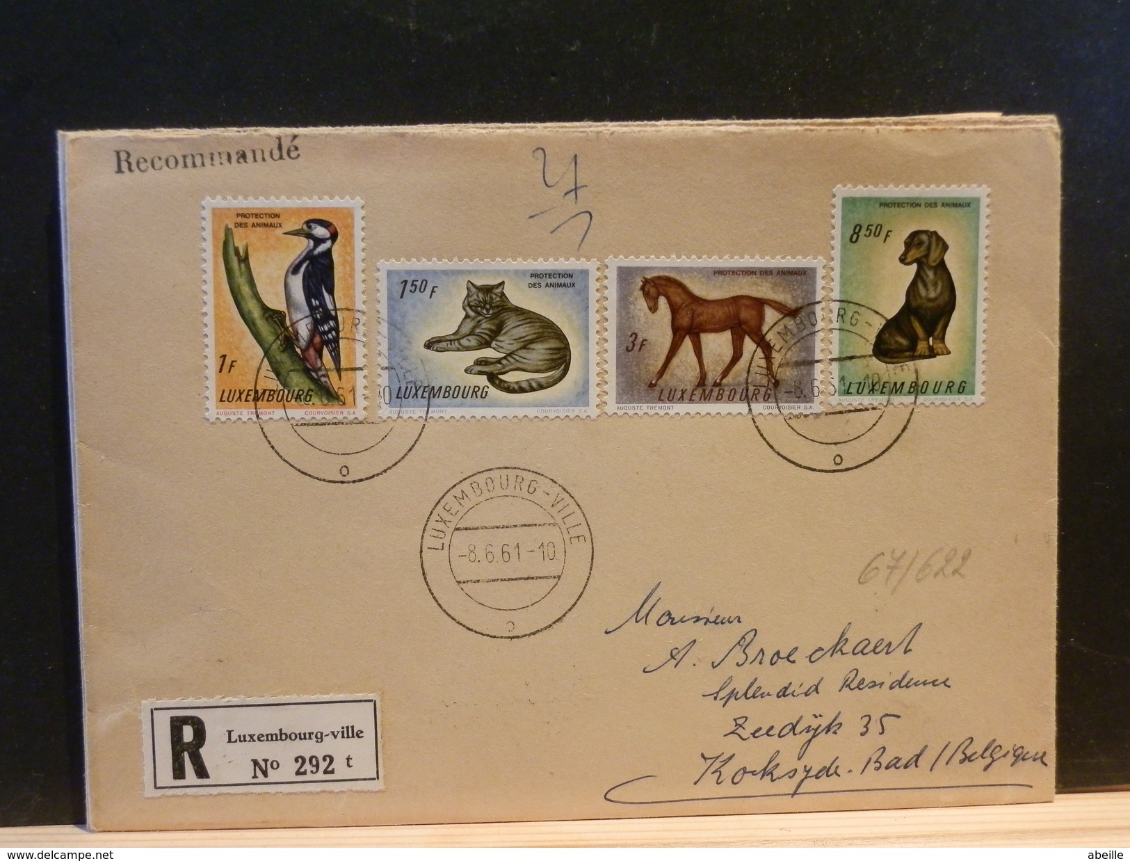 67/622  LETTRE RECOMM. POUR LA BELG. 1961 - Hauskatzen