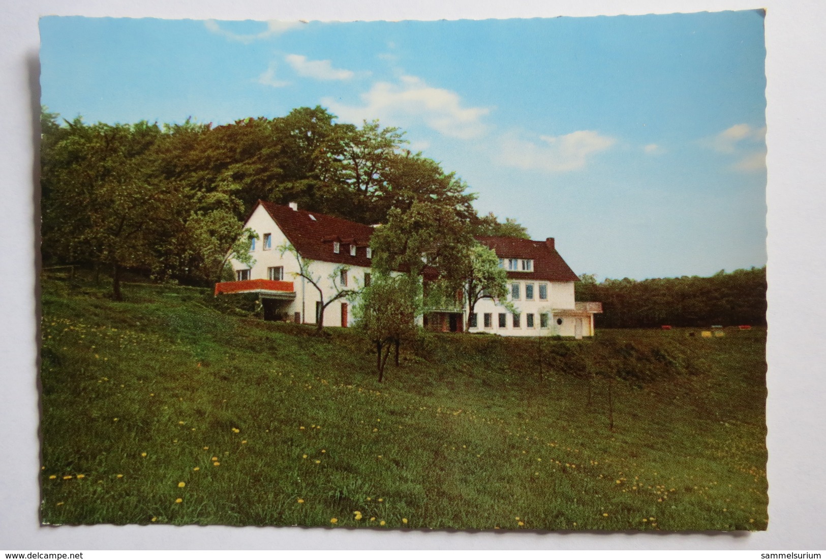 (9/4/9) AK "Wiblingwerde" Kreis Altena, Jugendheim Auf Dem Ahorn - Altena