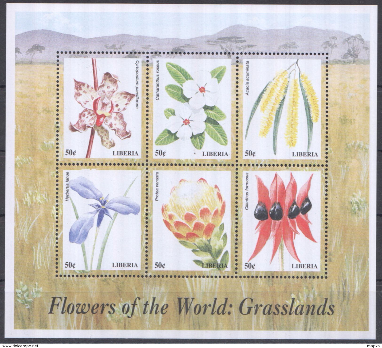 A110 LIBERIA FLOWERS OF THE WORLD GRASSLANDS 1KB MNH - Sonstige & Ohne Zuordnung