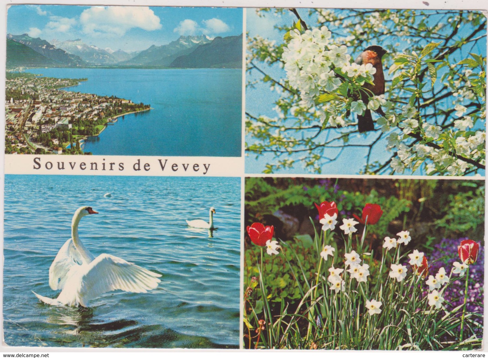 SCHWEIZ,SVIZZERA, HELVETIA,SWISS,SWITZERLAND,VAUD,RIVIERA PAYS D´ENHAUT, VEVEY - Vevey