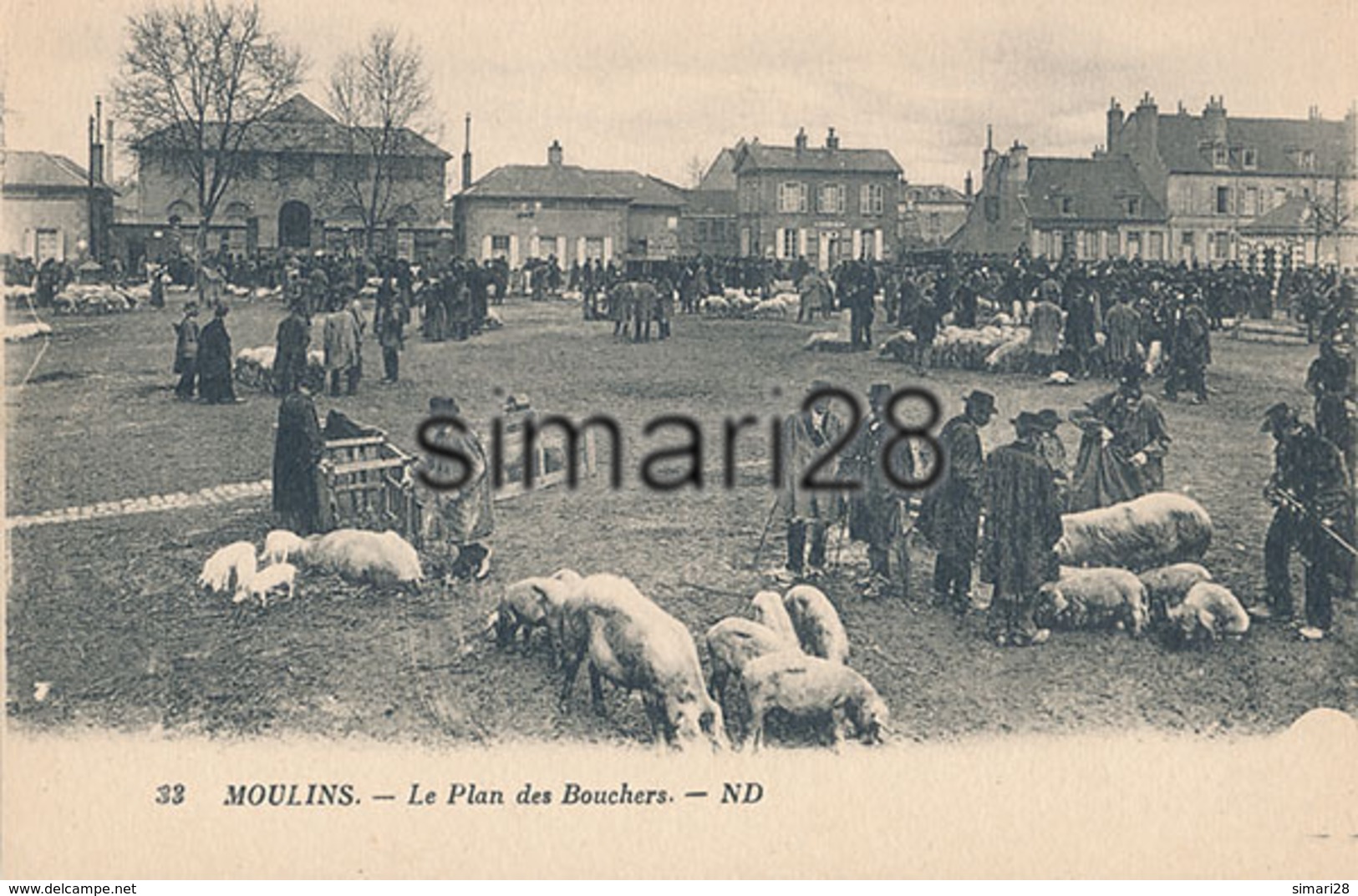 MOULINS - N° 33 - LE PLAN DES BOUCHERS (COCHONS) - Moulins