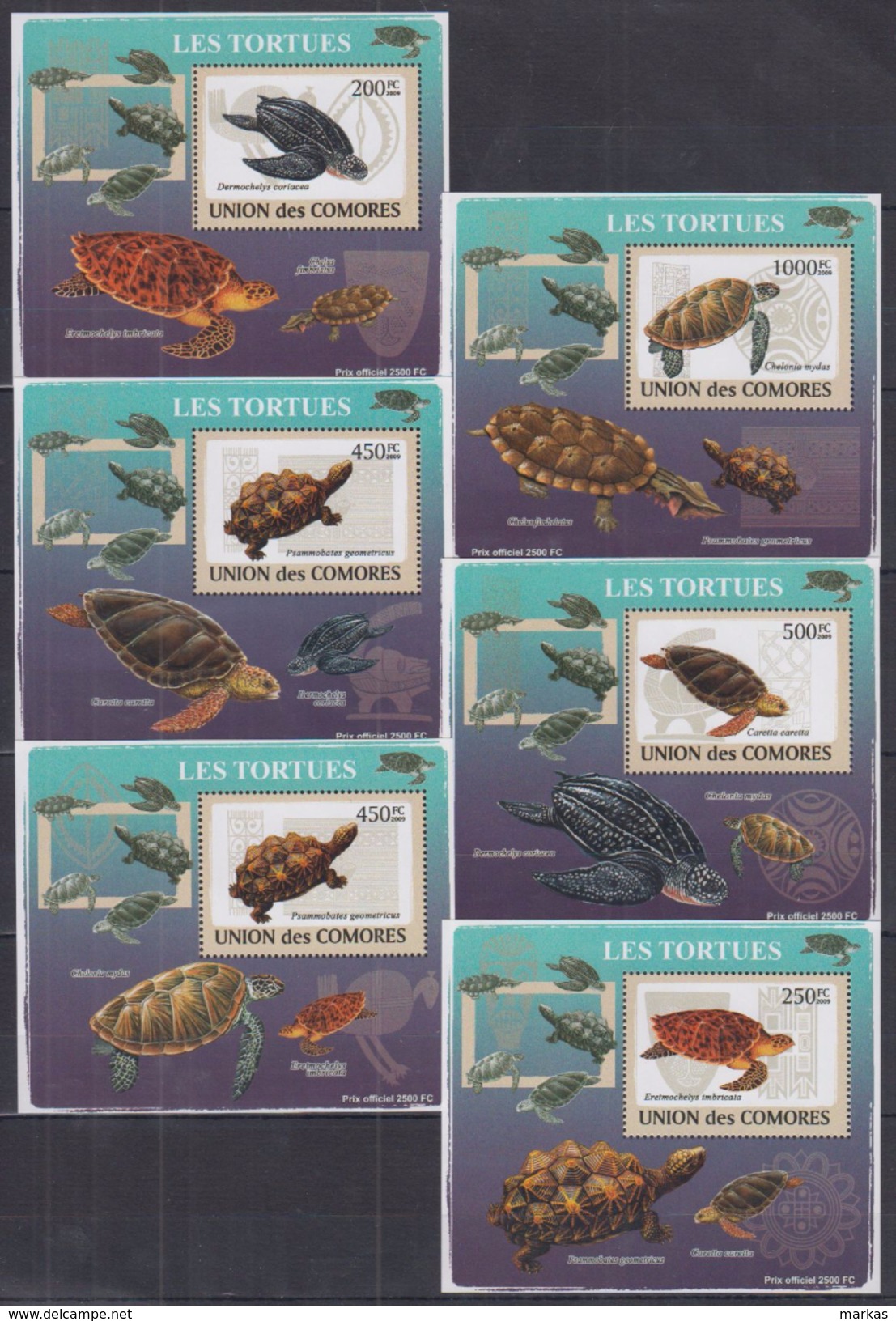 Z31 Comoros - MNH - Animals - Reptiles - Turtles - Deluxe - 2009 - Schildkröten