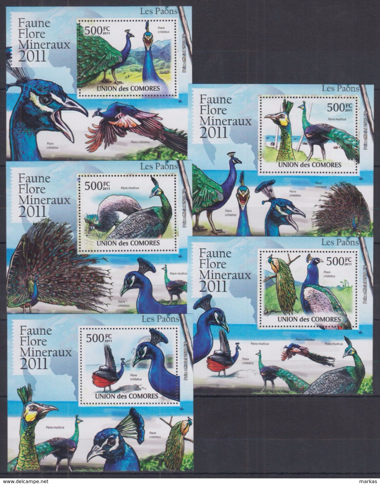 Z31 Comoros - MNH - Animals - Birds - Deluxe - 2011 - Sonstige & Ohne Zuordnung