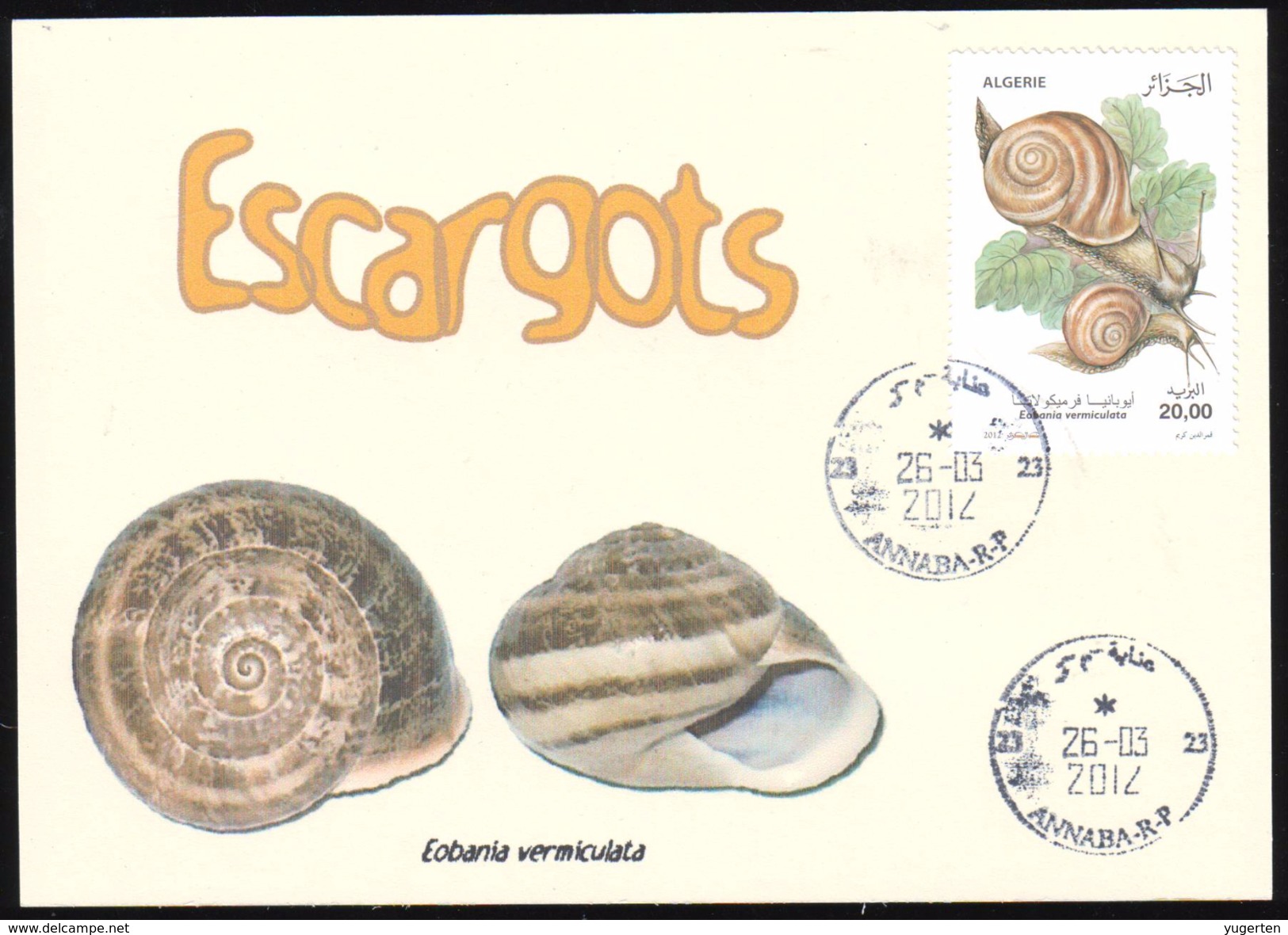 ALGERIA  2012 - Philatelic Card Escargots - Snails Schnecken Caracoles Shells Conchas Coquillages Lumache Slakken - Muscheln