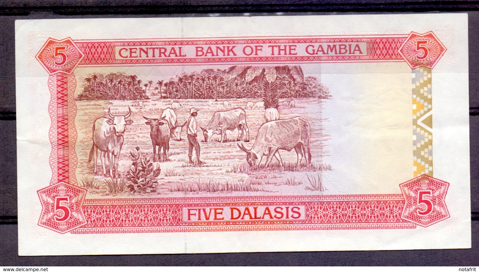 Gambia 5 Dalasis  UNC - Gambie