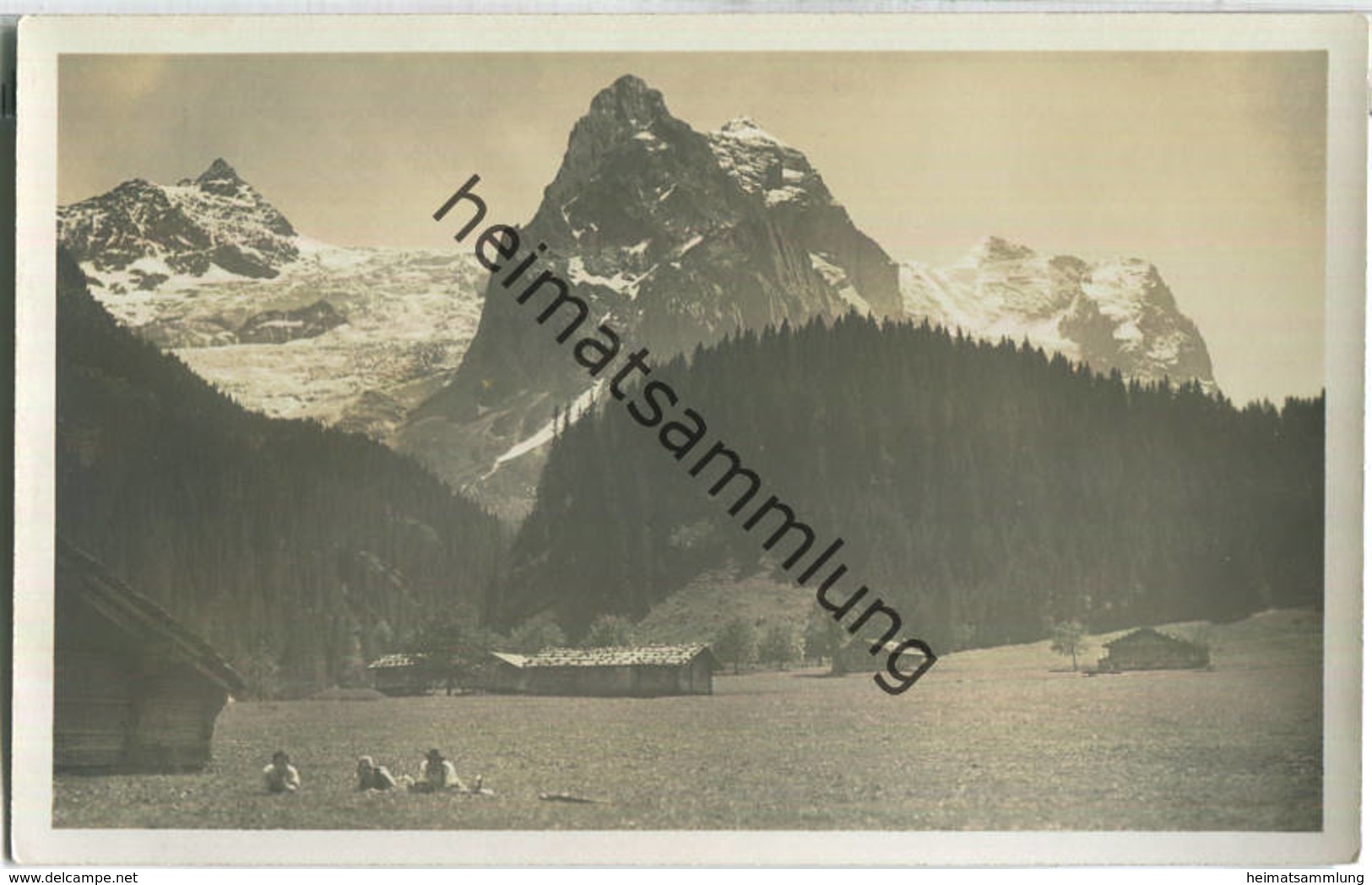 Gschwandenmatt Rosenlaui - Foto-Ansichtskarte - Schwanden Bei Brienz