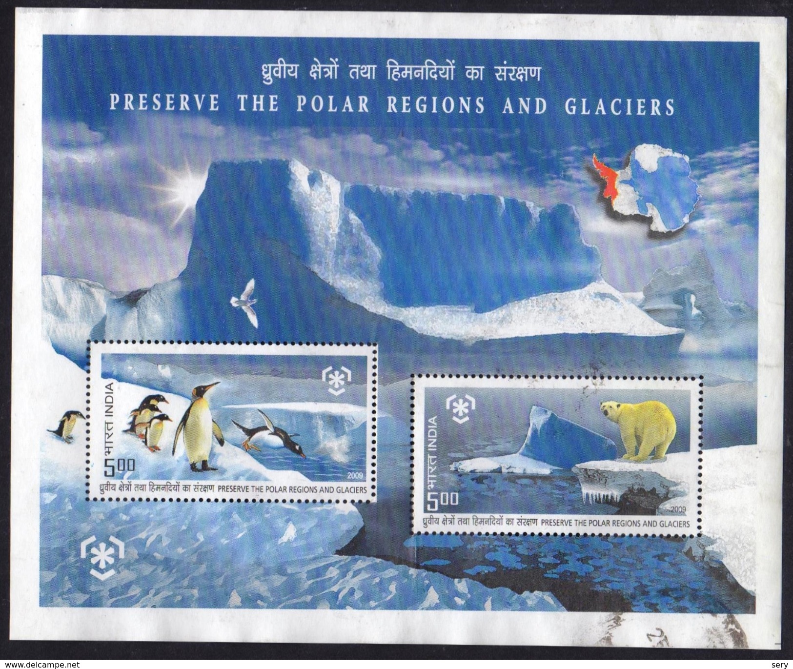 India 2009 MS Used Penguins Polar Bear Preserve Polar Regions And Glaciers - Orsi