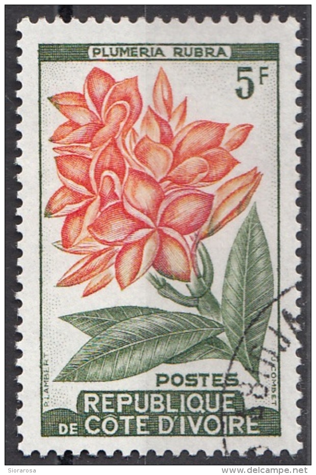 183 Costa D'Avorio 1962 Fiori Flowers Plumeria Rubra Viaggiato Used IVORY COAST - Gemüse