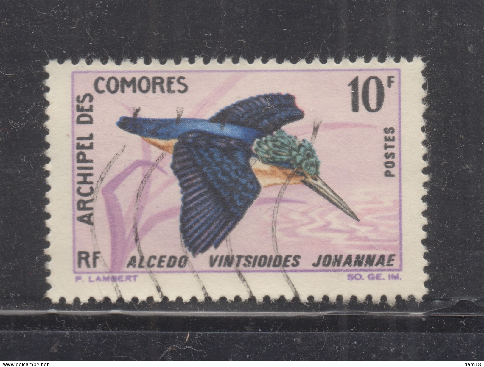 COMORES  N° 42  (YT) OISEAU VALEUR 5,50 EUROS - Used Stamps