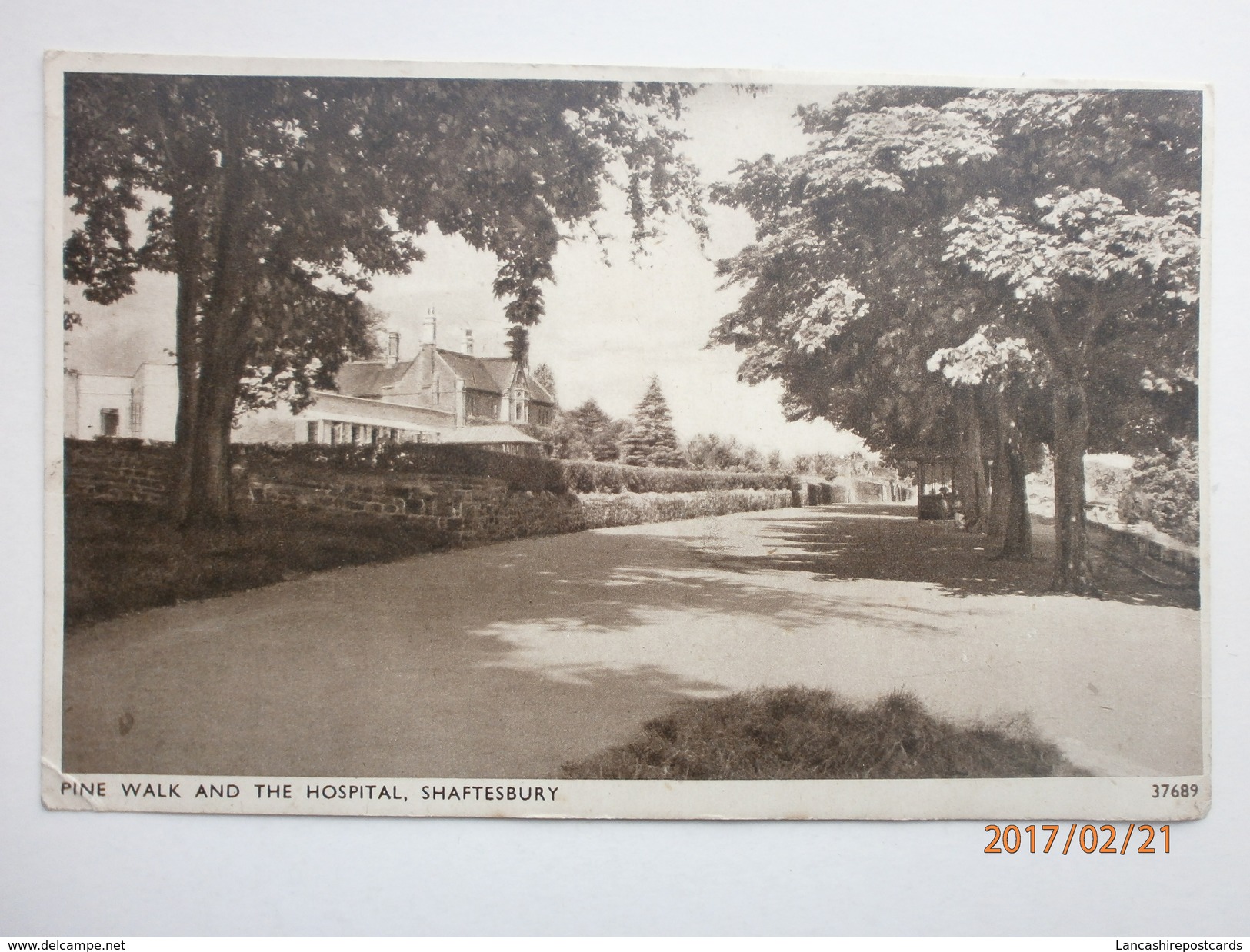 Postcard Pine Walk & The Hospital Shaftesbury Dorset  By Sweetman To Miss Haywood In Heaton Moor My Ref B1839 - Altri & Non Classificati