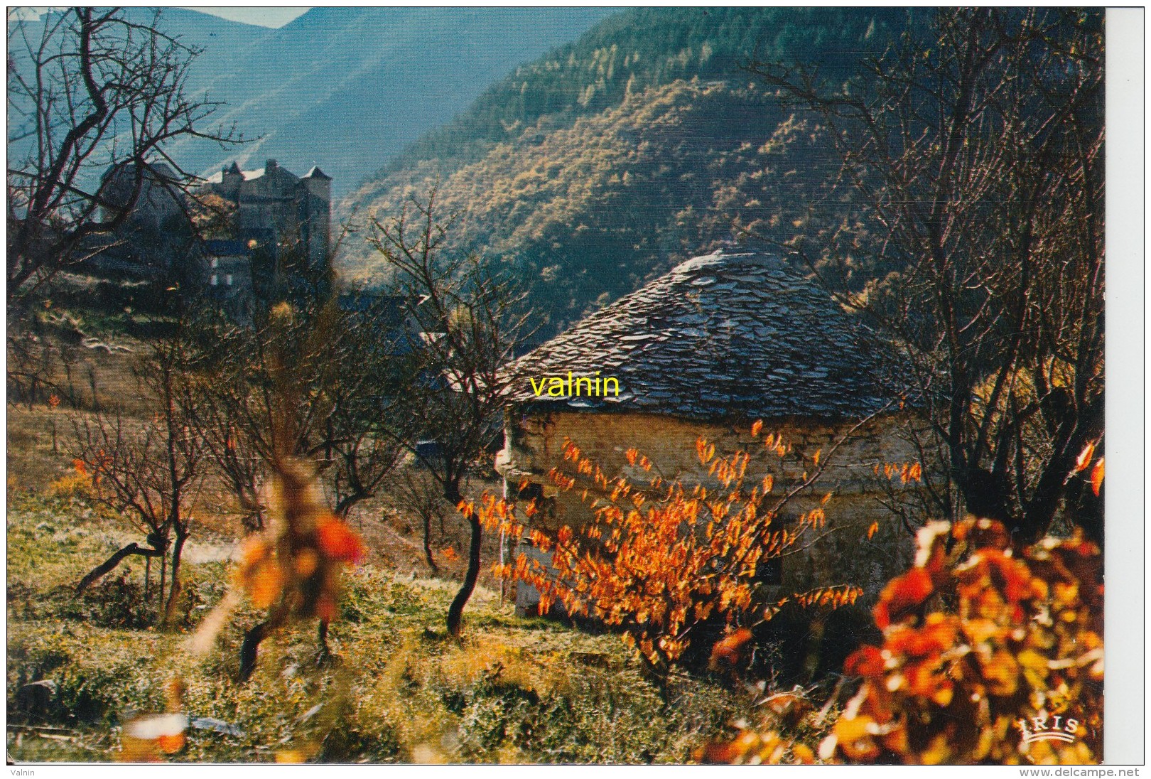 Paysage D Automne Les Gorges Du Tarn - Languedoc-Roussillon