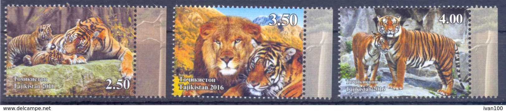 2017. Tajikistan, Wild Cats, 3v Perforated, Mint/** - Tadschikistan