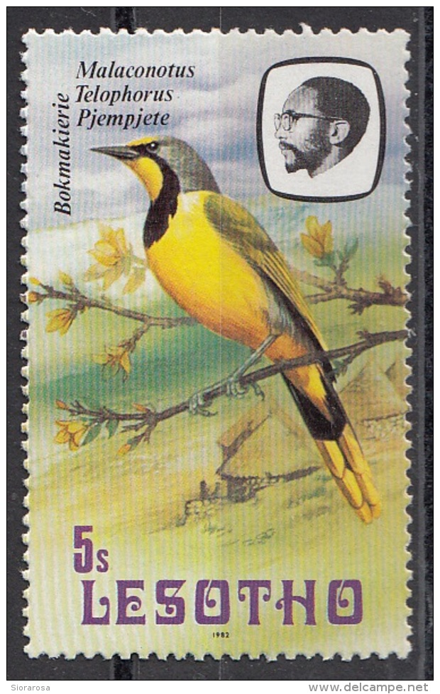 324 Lesotho 1981 Birds Uccelli  - Malaconotus Telophorus - Passeri  Nuovo - Sparrows