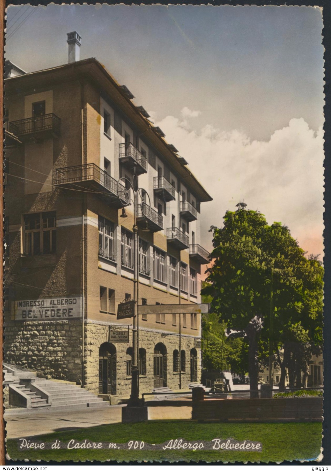 °°° 900 - PIEVE DI CADORE - ALBERGO BELVEDERE (BL) 1952 °°° - Altri & Non Classificati