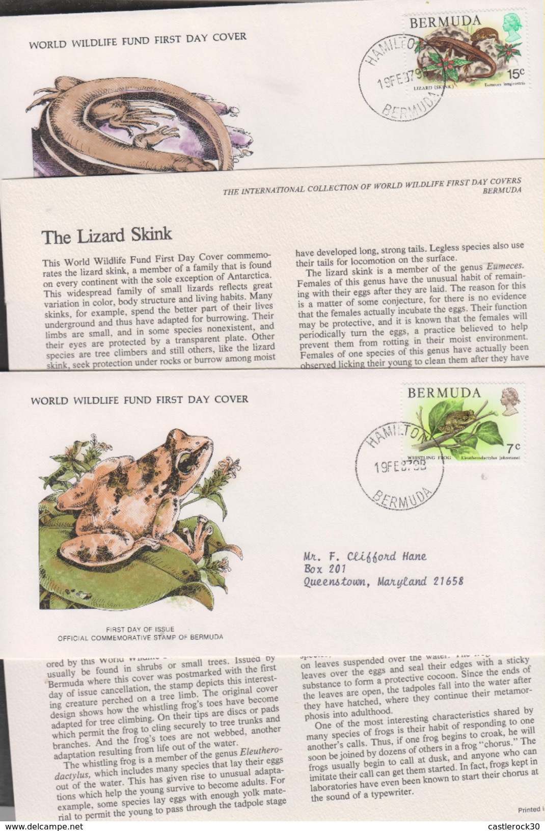 O) 1979 BERMUDA, WWF, WHISTLING FROG-ELEUTHERODACTYLUS- LIZAR SKINK-EUMECES, WORLD WILDLIFE FUN, WORLD WILDLIFE,FDC USED - Bermuda