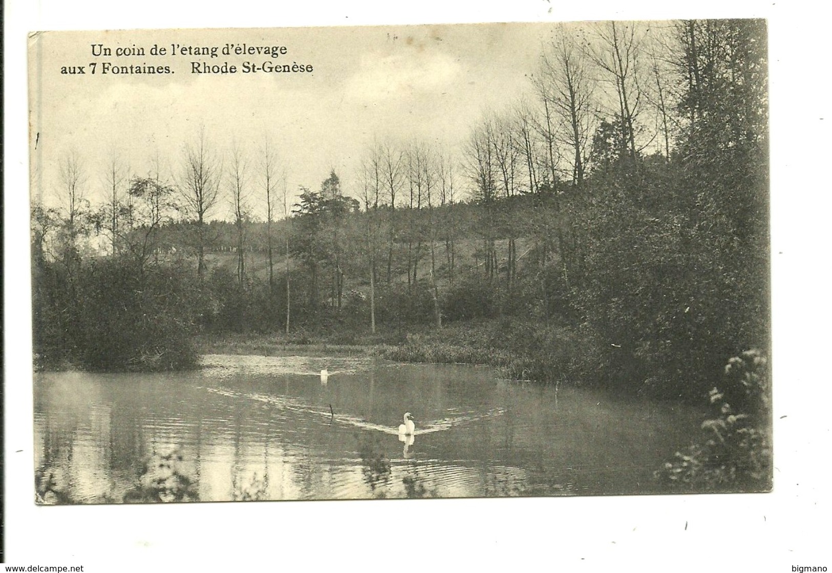 Rhode-Saint-Genèse  Un Coin De L´étang D´élévage Aux 7 Fontaines - St-Genesius-Rode