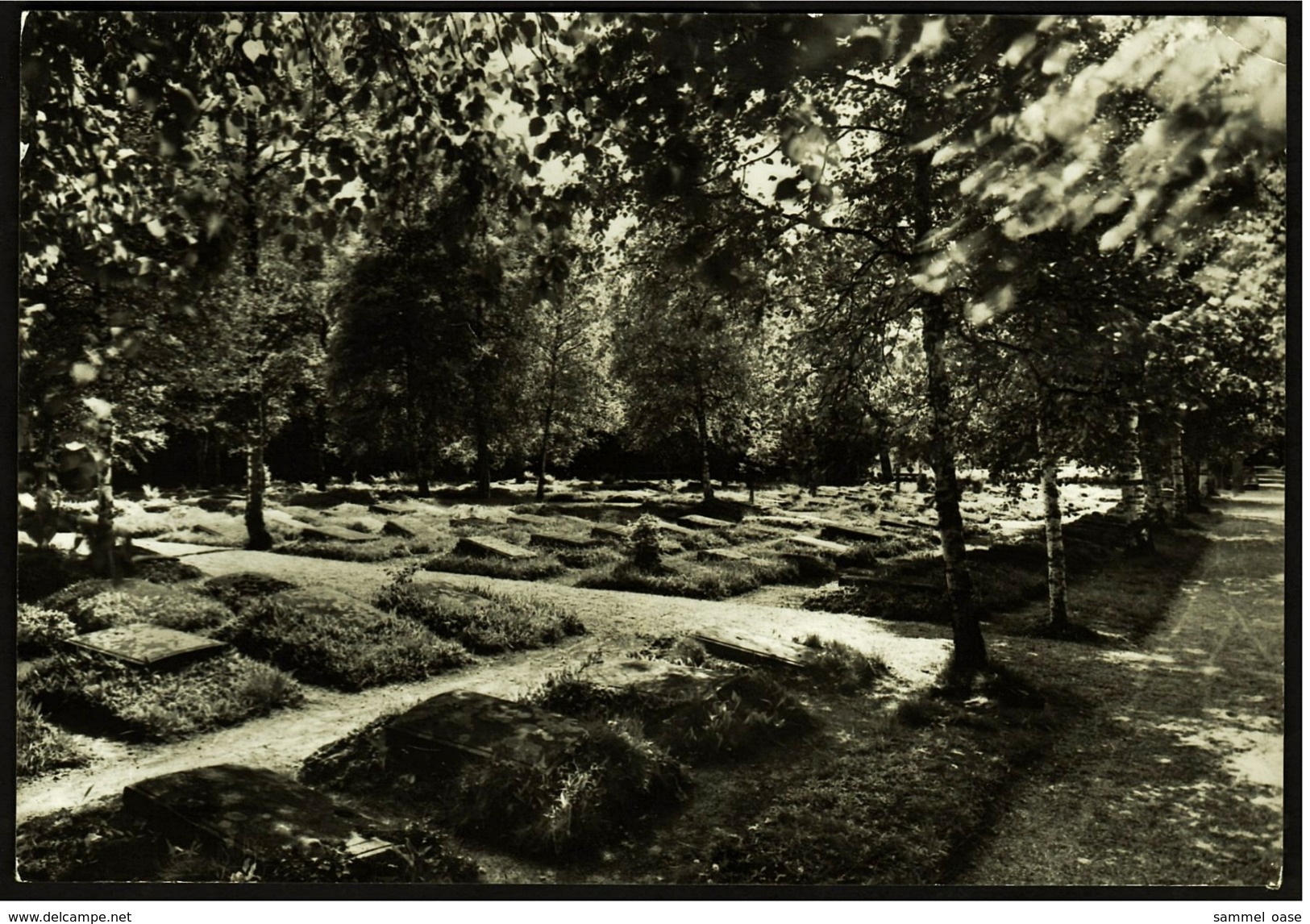 Königsfeld / Schwarzwald  -  Gottesacker Der Brüdergemeinde  -  Ansichtskarte Ca.1970  (6726) - Schramberg