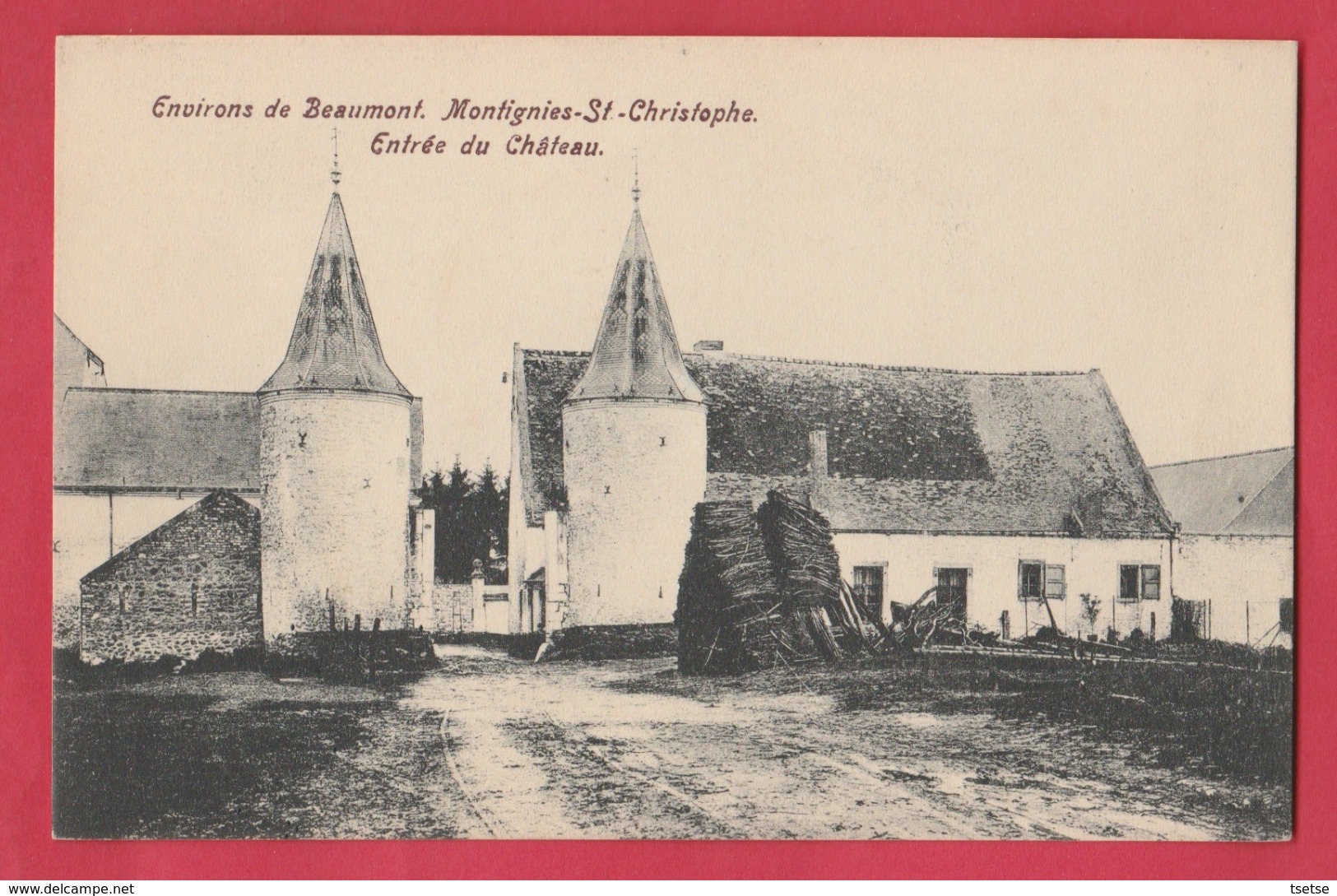 Montignies-St-Christophe ( Erquelinnes ) - Entrée Du Château ( Voir Verso ) - Erquelinnes