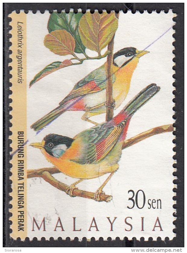 606 Malesia 1997 Uccelli Birds Leiothrix Argentauris Passeri Mesia Orecchie D'Argento Used - Sparrows