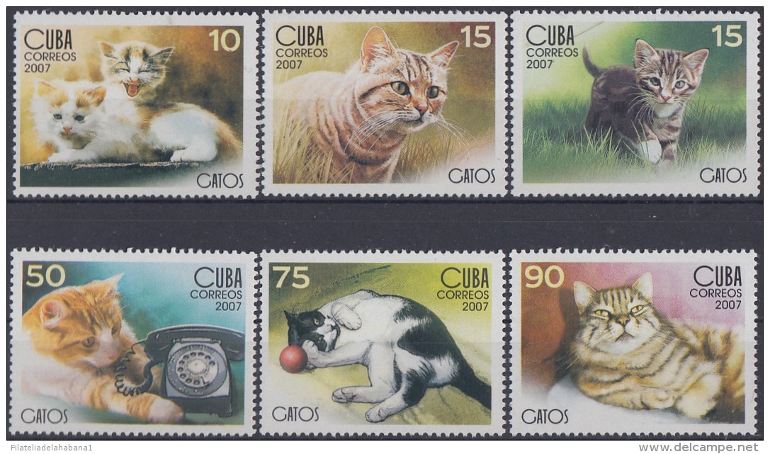 2007.47 CUBA MNH 2007. GATOS DOMESTICOS. CAT FELINE. - Unused Stamps