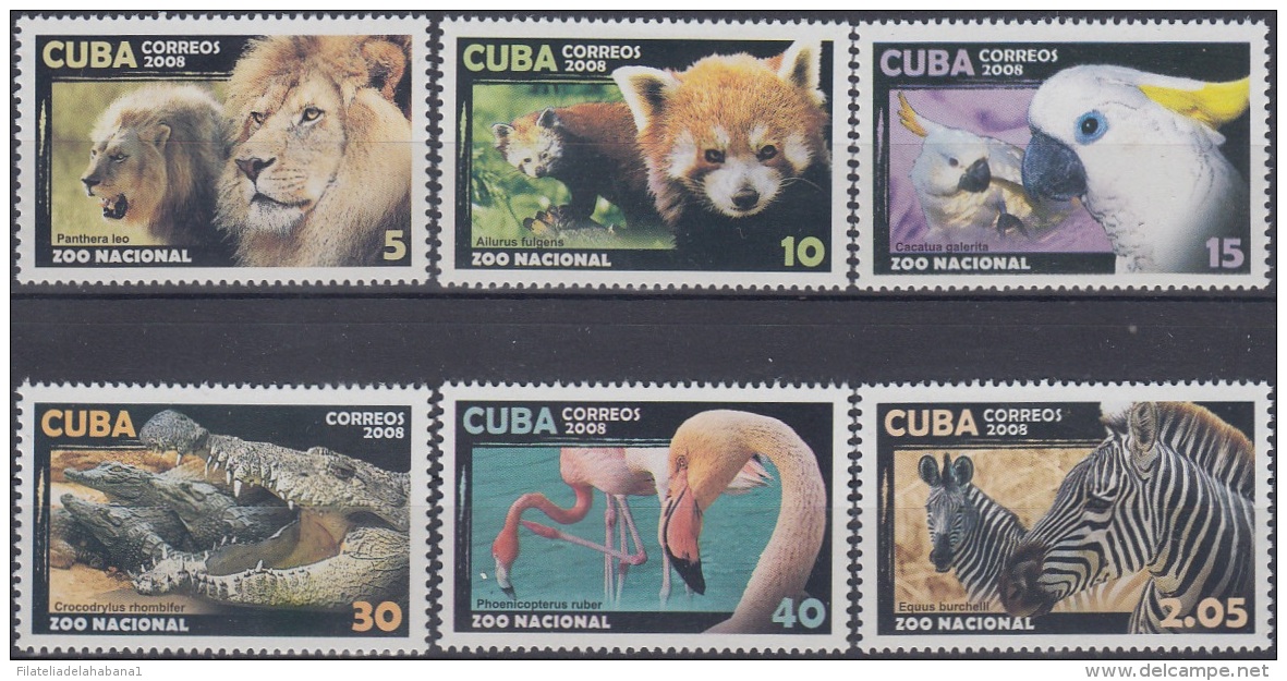 2008.49 CUBA MNH 2008. ZOOLOGICO ZOO. CEBRA FLAMENCO FLAMINGO COCODRILO CACATUA PARROT BIRD FOX LEON LION. - Unused Stamps