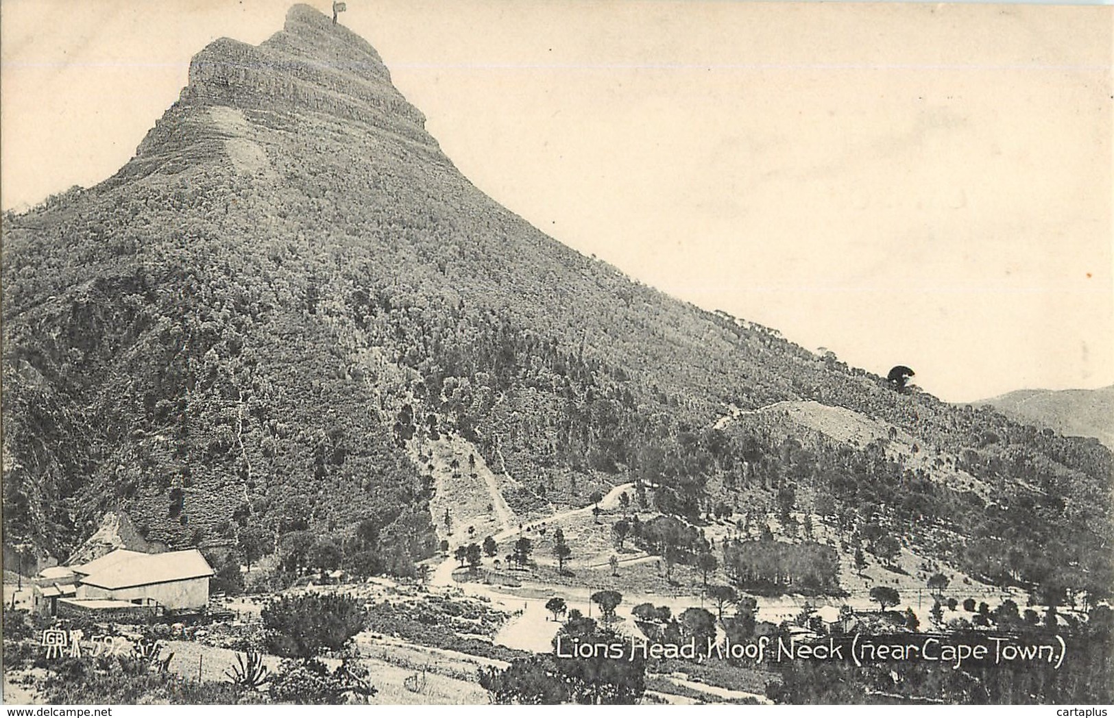 KLOOF NECK NEAR CAPE TOWN LIONS HEAD AFRIQUE DU SUD SOUTH AFRICA - Zuid-Afrika