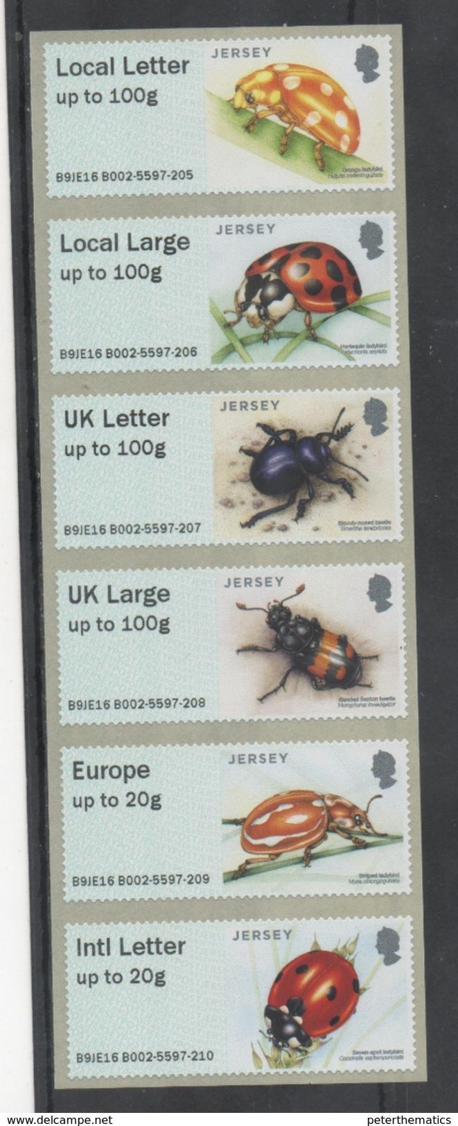 JERSEY, 2016, MNH, INSECTS, BEETLES,POST AND GO ATM LABELS, 6v - Other & Unclassified