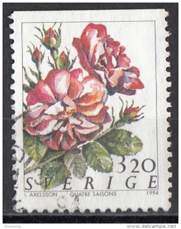 2075 Svezia 1994 Fiori Flowers Roses Rosa Quattro Stagioni  Natale Used Sverige Sweden - Rosen