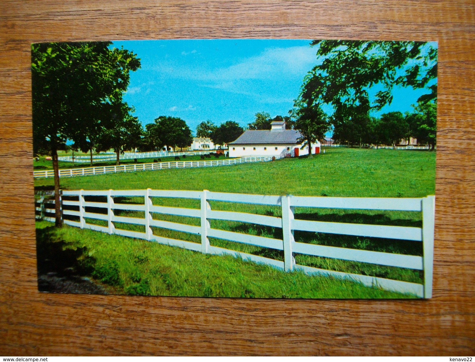 états-unis , Picturesque Horse Farm In The Heart Of The Bluegrass Region , Lexington , Kentucky - Lexington