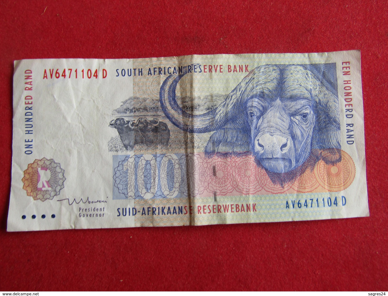 Afrique Du Sud - South Africa - 100 Rand - 1999 - Billet Circulé - Afrique Du Sud