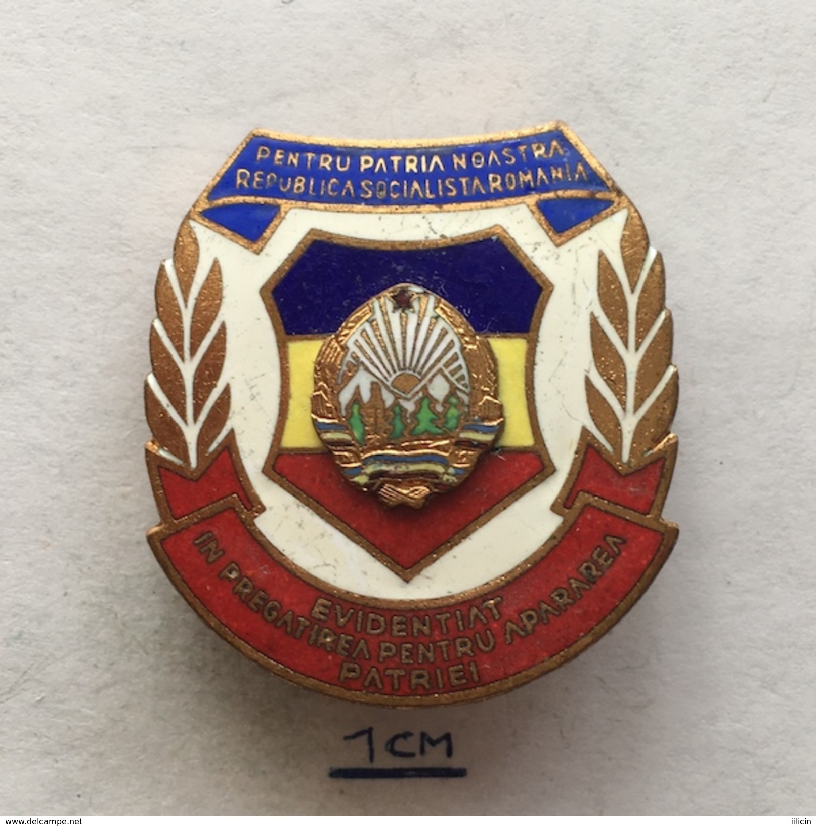 Badge (Pin) ZN004755 - Military (Army) Romania "To Defend Homeland" - Militari