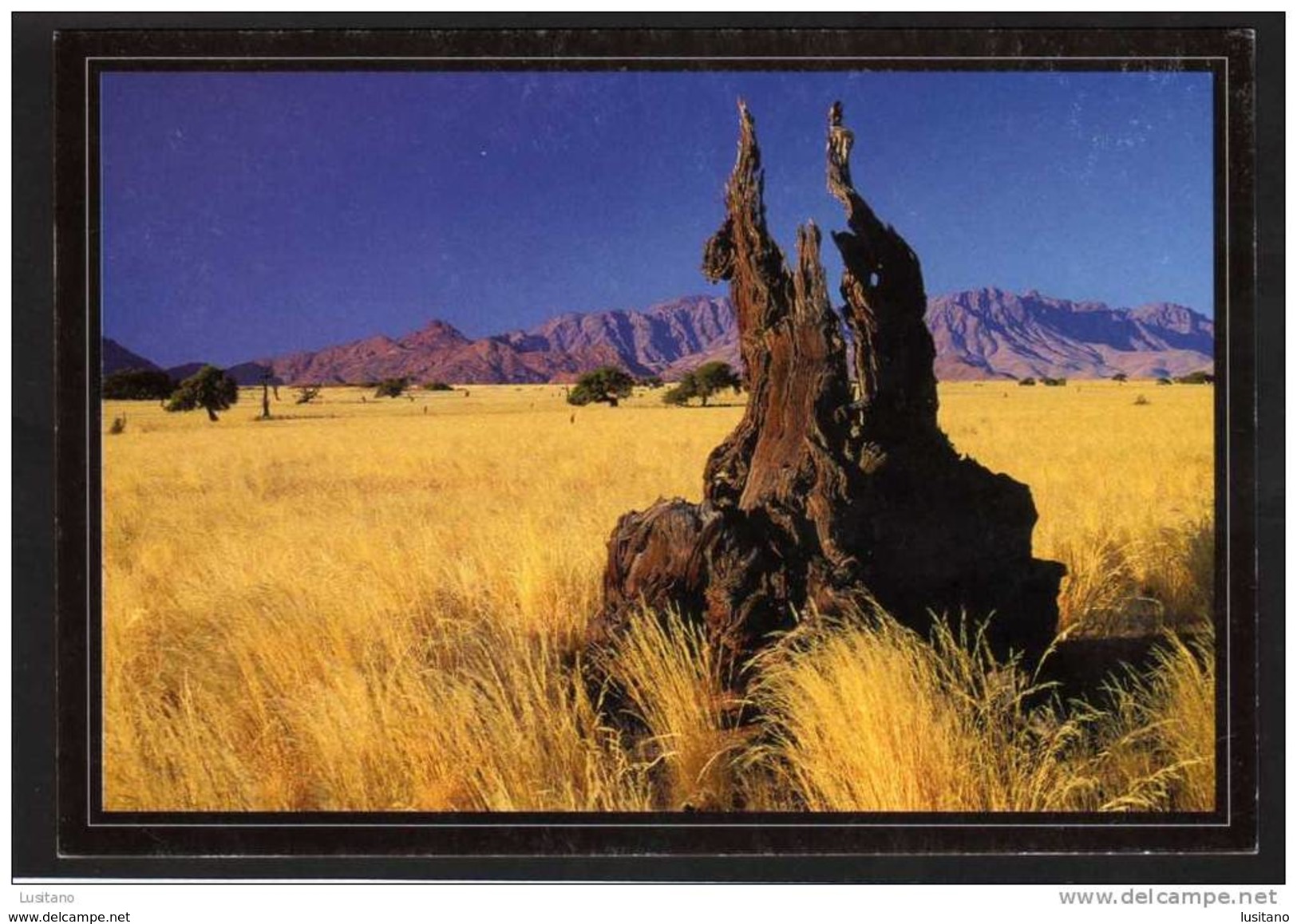 NAMIBIA - Namib Desert During The Dry Season - Photograph: Johan Steyn (2 Scans) - Namibie