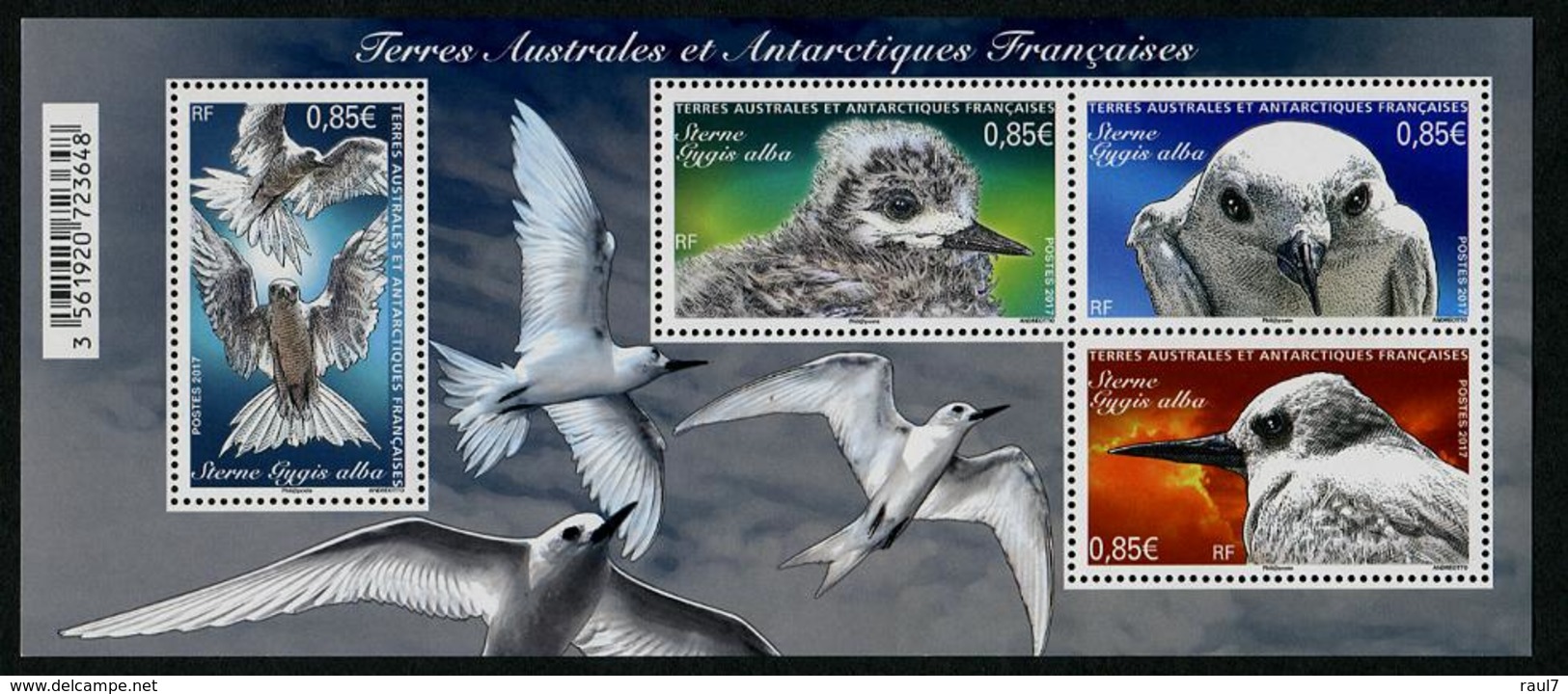 T.A.A.F. // F.S.A.T. 2017 - Faune Oiseaux, Stern - BF Neufs // Mnh - Unused Stamps