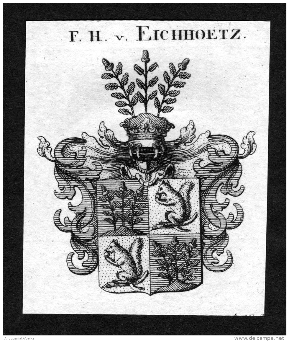 Eichhoetz - Eichholz Eichholtz Wappen Adel Coat Of Arms Heraldry Heraldik Kupferstich - Stiche & Gravuren