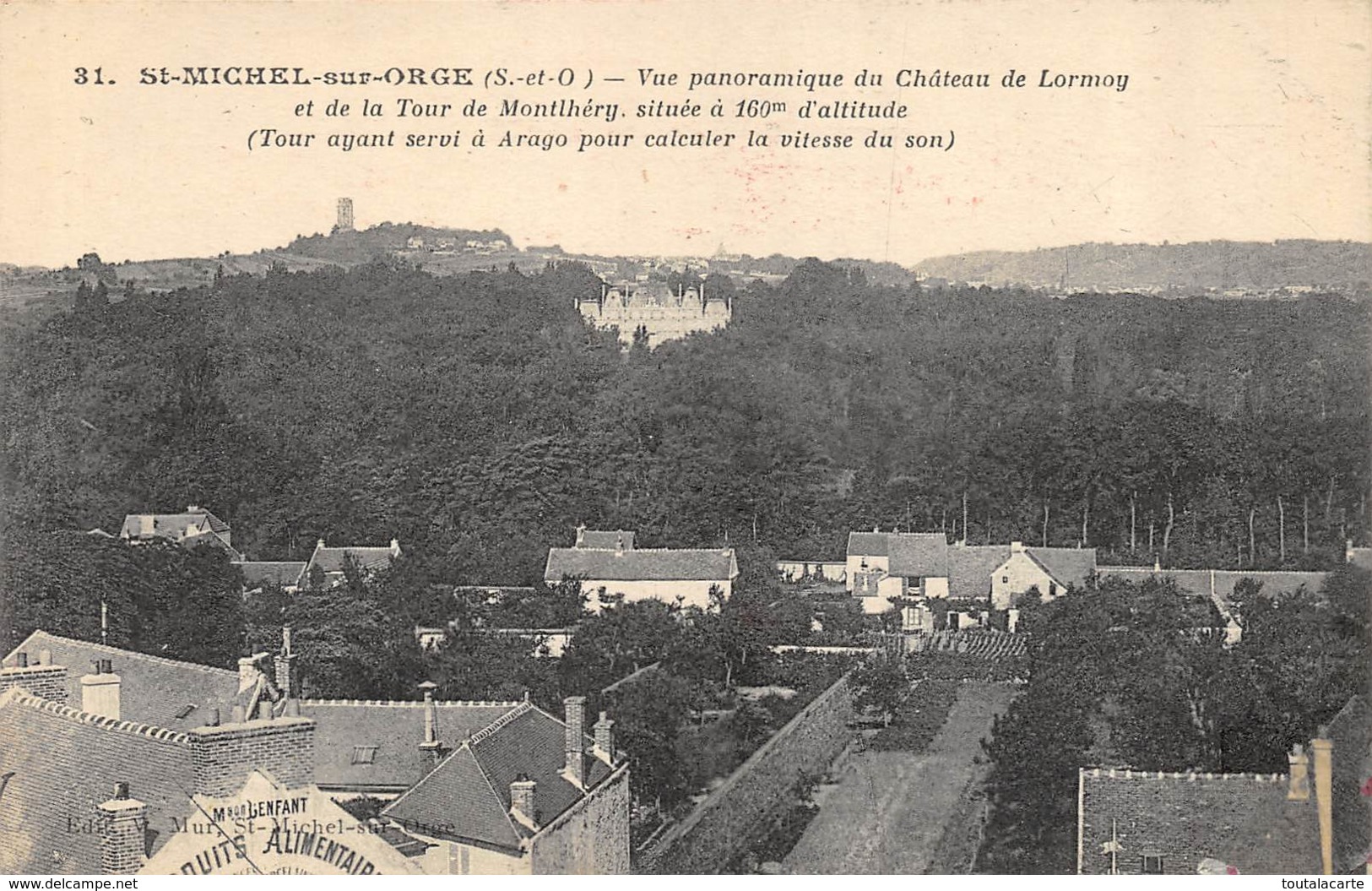 CPA 91  ST MICHEL SUR ORGE VUE PANORAMIQUE DU CHATEAU DE LORMOY - Saint Michel Sur Orge