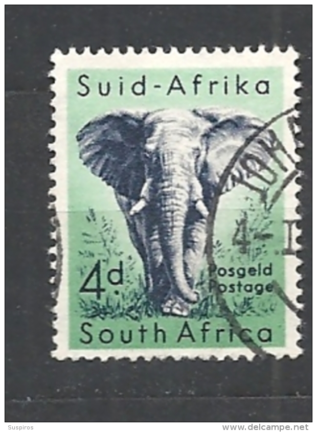 SUDAFRICA    1954 Local Animals    Loxodonta Africana   WM SRINGBOK   USED - Gebruikt