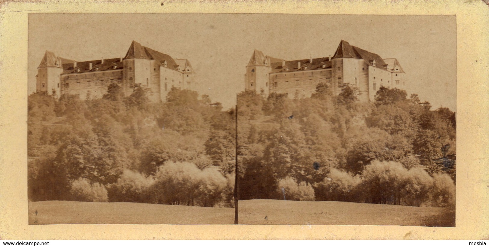 PHOTO  STEREOSCOPIQUE -    CHATEAU DE GREEN,  Habité Par Le Prince Pevoïne ?  ( Danube )  Fin 1800 - Stereoscopic