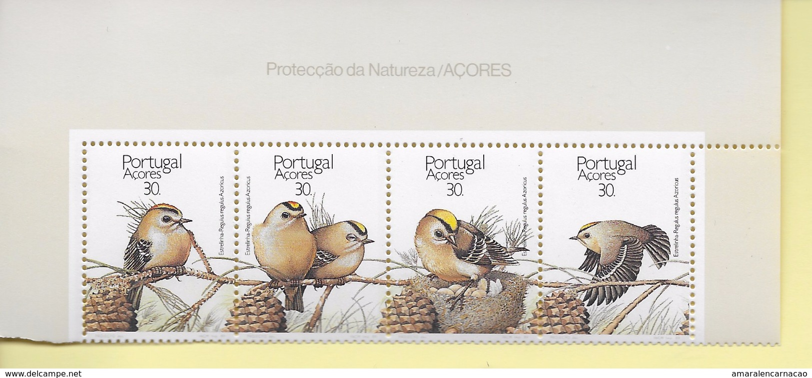 TIMBRES - STAMPS - PORTUGAL (AÇORES) - 1989 - OISEAUX - Regulus Regulus Azorica - SÉRIE DE TIMBRES NEUFS - MHN - Unused Stamps