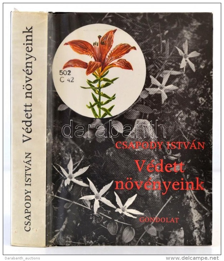 Csapody Istv&aacute;n: V&eacute;dett N&ouml;v&eacute;nyeink. Bp., 1982, Gondolat. Karton&aacute;lt... - Non Classificati